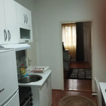 Mikica Vrnjačka Banja