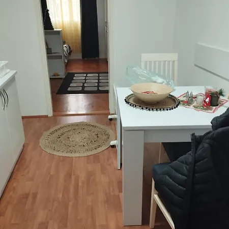 Mikica Vrnjačka Banja