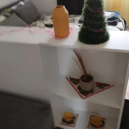 Mikica * Vrnjačka Banja